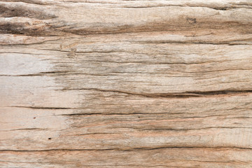 Obraz na płótnie Canvas closeup of wood texture