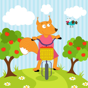 squirrel riding bicycle - vector illustration, eps