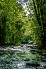 Obraz premium Wunderschöner wilder Fluss