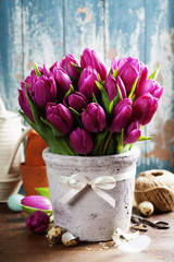 Obraz premium Spring tulips
