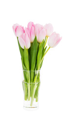 Bouquet of fresh pink tulips in vase isolated over white background 