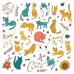 Cute colorful set of hand drawn cats with twigs flowers and leaves