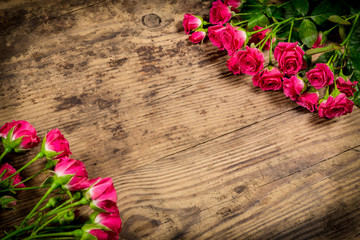 Bunch of pink roses on wood background
