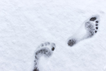 Barefoot / Footprint in the Snow