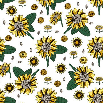 Seamless pattern with yellow sunflowers on white background. 