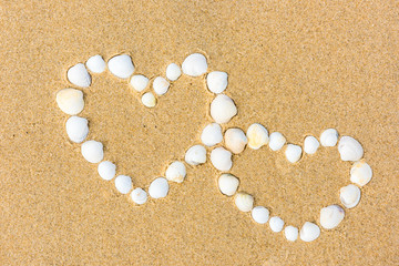 Fototapeta na wymiar sea shell hearts on the sand beach