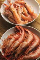 Nephrops norvegicus 虾 Scampo Camarão Gambero Pandalus borealis פראון Katkaravut میگو 