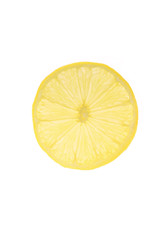 Isolated lemon slice on a white background