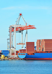 Cargo crane and ship