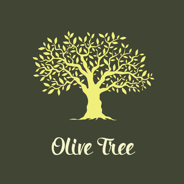 Beautiful magnificent olive tree isolated on green background. 
Premium quality logo concept vector illustration.
