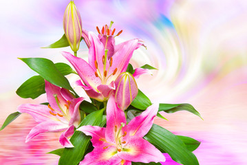 Fototapeta premium Close up of pink lilies