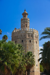 Fototapeta na wymiar Tower of Gold in Seville Spain