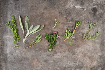 Herbs rosemary, sage, thyme, savory