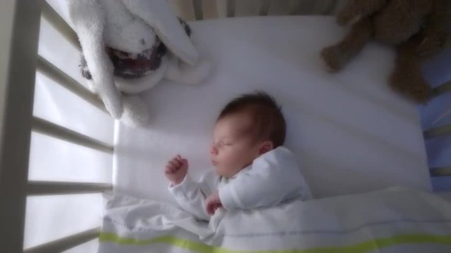 Newborn baby sleeping 