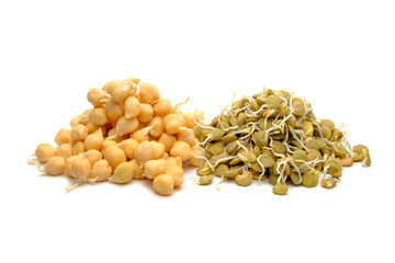 Lentil and chickpeas isolated on white background