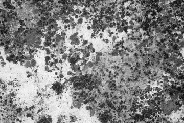 Old grunge wall texture