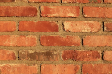 Red bricks on a wall