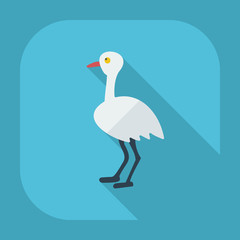Flat modern design with shadow icons ostrich