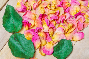 Rose petals