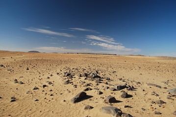 Wide Desert