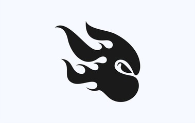 black ninja fire © twelve.std