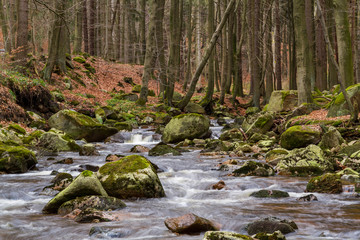 Nationalpark Harz Ilsetal