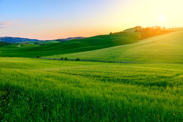 Summer in the fields of Tuscany in the sunset