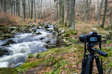 Nationalpark Harz Ilsetal