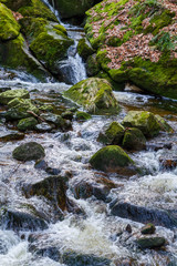 Fototapeta premium Nationalpark Harz Ilsetal