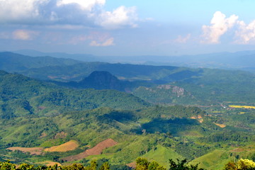 Tropical forest at Nan province Thailand  