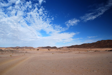 Fototapeta na wymiar Desert Sky
