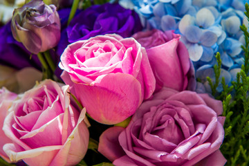 Fototapeta na wymiar Bouquet of rose