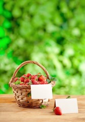 Fototapeta na wymiar Strawberries in a straw basket