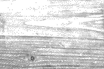 Stipple grunge wood texture VOL. 12.