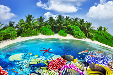 Tropical island and the underwater world in the Maldives. Thoddo