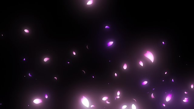 流れていく桜　高速 pass through cherry blossoms high speed
