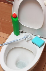 Accessories for cleaning on toilet bowl