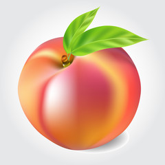 Peach with leaves isolated on white