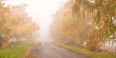 Obraz premium Beautiful autumn road in the fog
