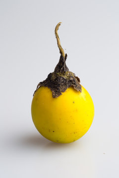 Yellow eggplant closeup on white background