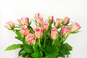 Obraz premium Bouquet of fresh pink roses isolated on white background
