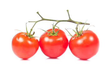 tomatoes on the vine isolated on white