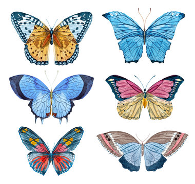Watercolor raster butterflies