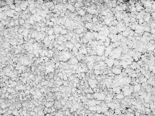grunge White Wall texture Background