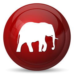 Elephant icon