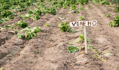 Poison signal in plantation field