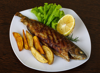Grilled trout