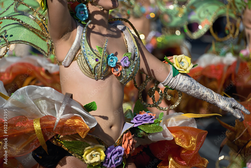 Wall mural a woman in costume dancing on carnival