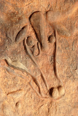 Engraved Cow