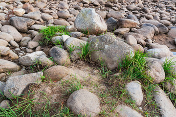 River Stones with green grass.